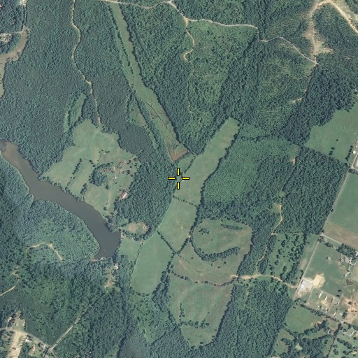 Aerial/Satellite Image of Carter Branch, TN