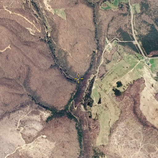 Aerial/Satellite Image of Carter Branch, TN