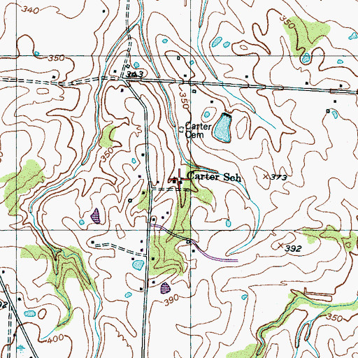 Topographic Map of Carter School, TN