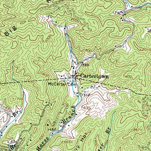 Topographic Map of Cartertown, TN