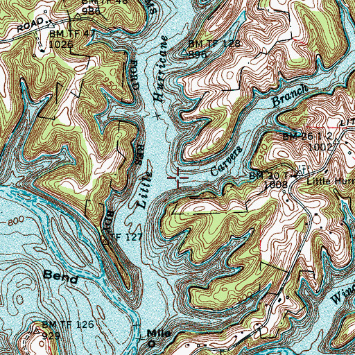 Topographic Map of Carvers Branch, TN