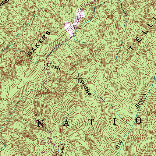 Topographic Map of Cash Ridge, TN