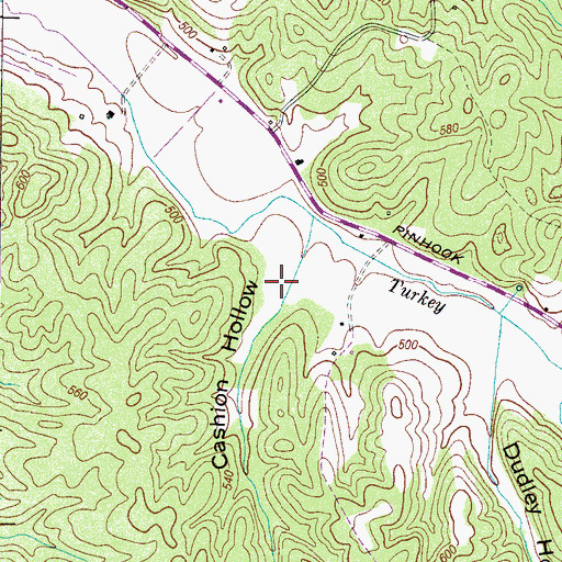 Topographic Map of Cashion Hollow, TN