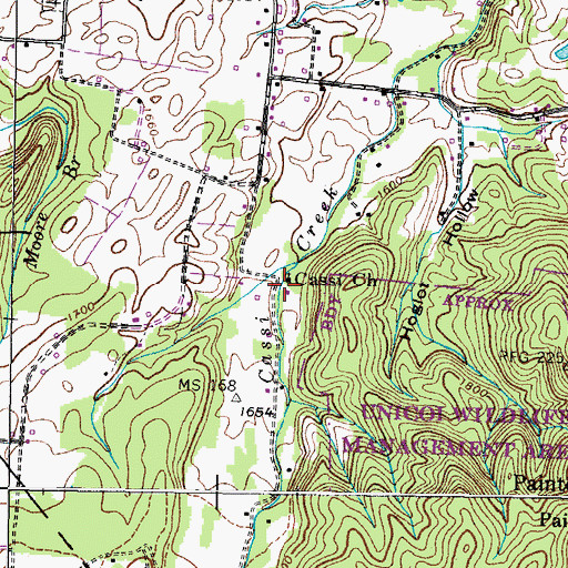 Topographic Map of Cassi Church, TN