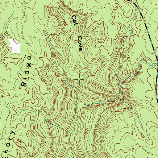 Topographic Map of Cat Cove, TN