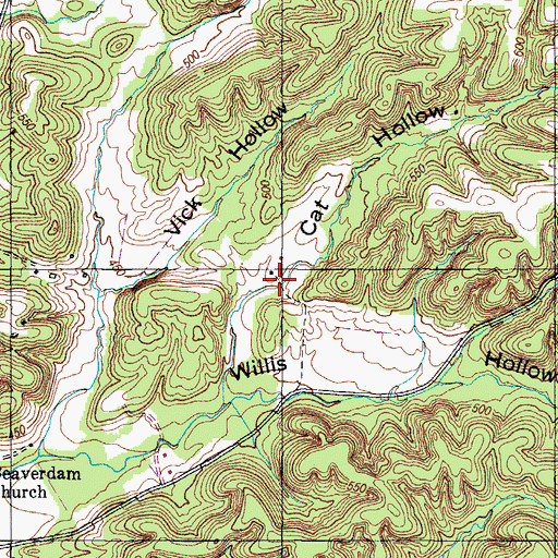 Topographic Map of Cat Hollow, TN