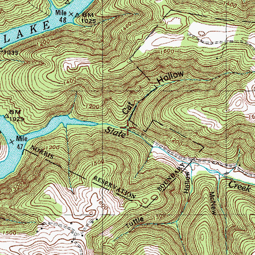 Topographic Map of Cat Hollow, TN