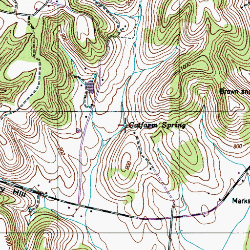Topographic Map of Catfarm Spring, TN
