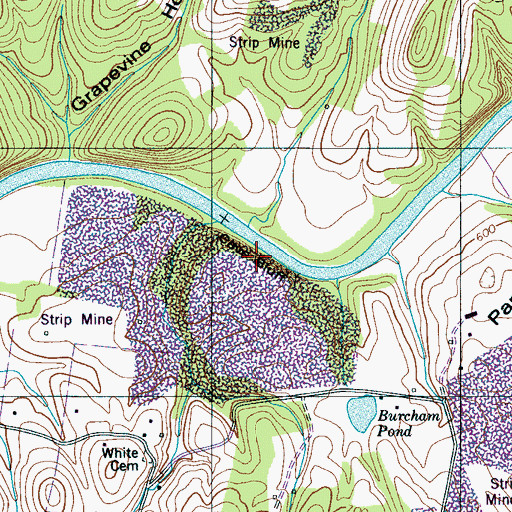 Topographic Map of Cave Bluff, TN