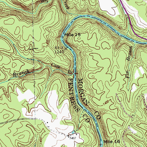 Topographic Map of Cave Branch, TN