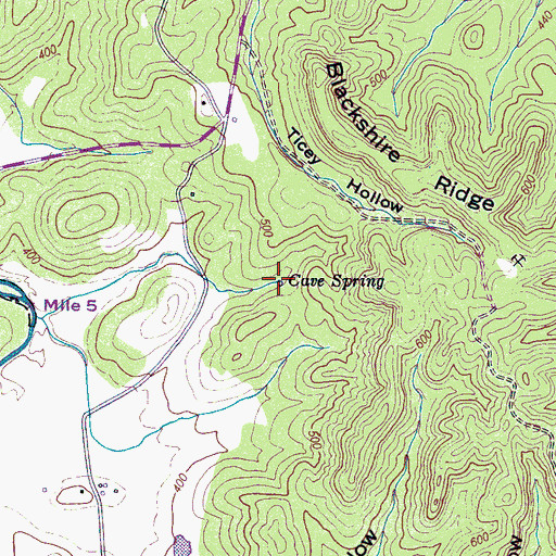 Topographic Map of Cave Spring, TN