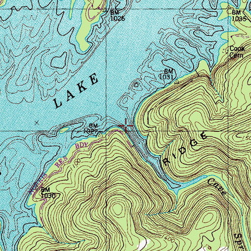 Topographic Map of Cave Spring Branch, TN