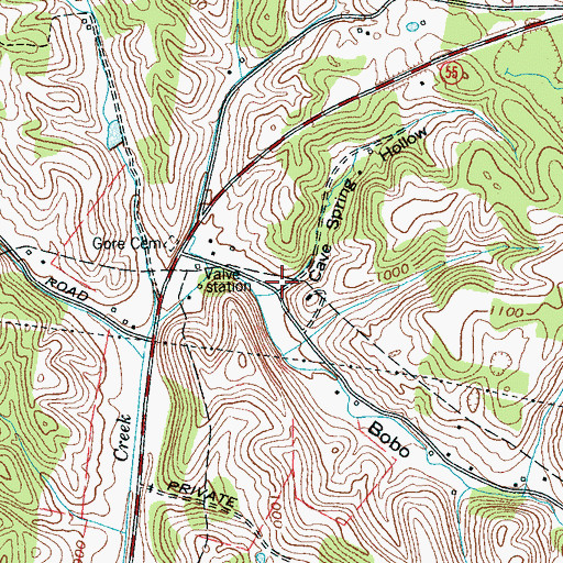 Topographic Map of Cave Spring Hollow, TN