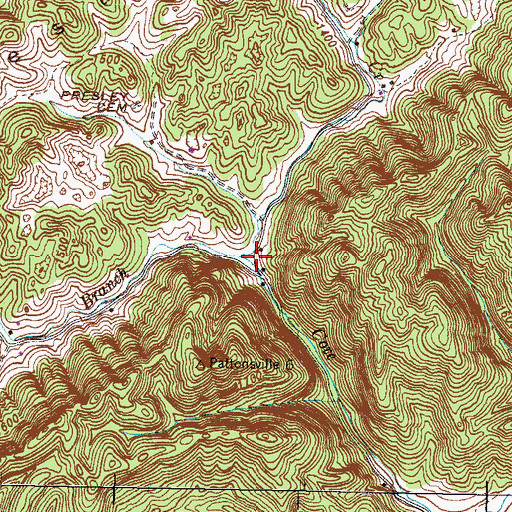 Topographic Map of Cave Springs Branch, TN