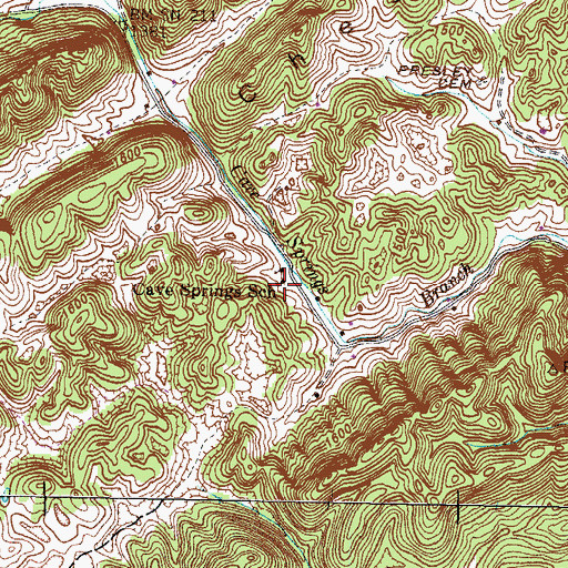 Topographic Map of Cave Springs School, TN