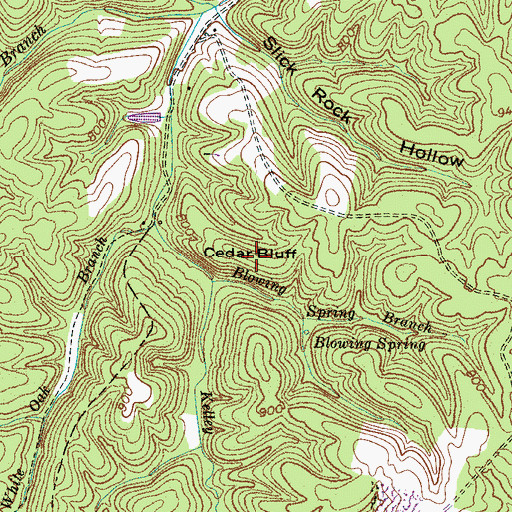 Topographic Map of Cedar Bluff, TN