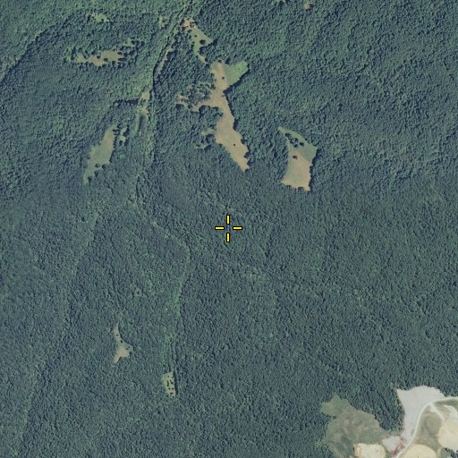 Aerial/Satellite Image of Cedar Bluff, TN