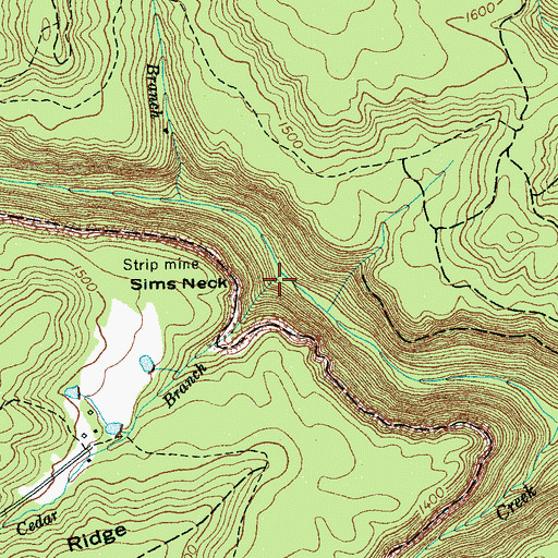 Topographic Map of Cedar Branch, TN