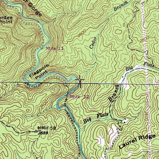 Topographic Map of Cedar Branch, TN