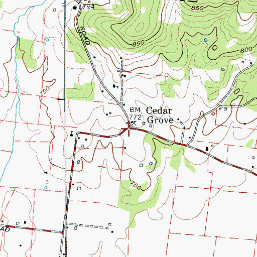Topographic Map of Cedar Grove, TN