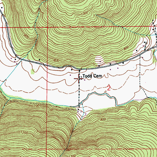 Topographic Map of Todd Cemetery, AL
