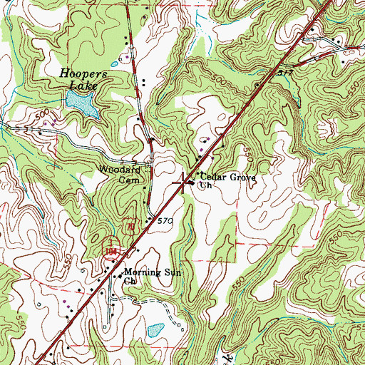 Topographic Map of Cedar Grove Church, TN