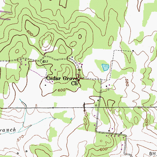 Topographic Map of Cedar Grove Church, TN