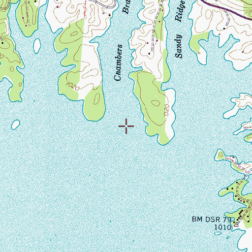 Topographic Map of Chambers Branch, TN