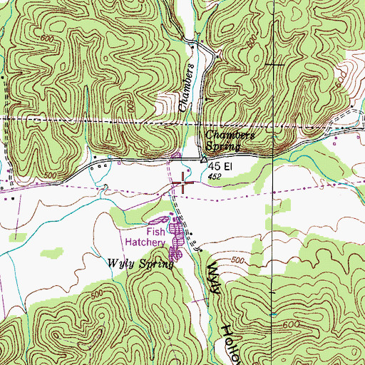 Topographic Map of Chambers Branch, TN