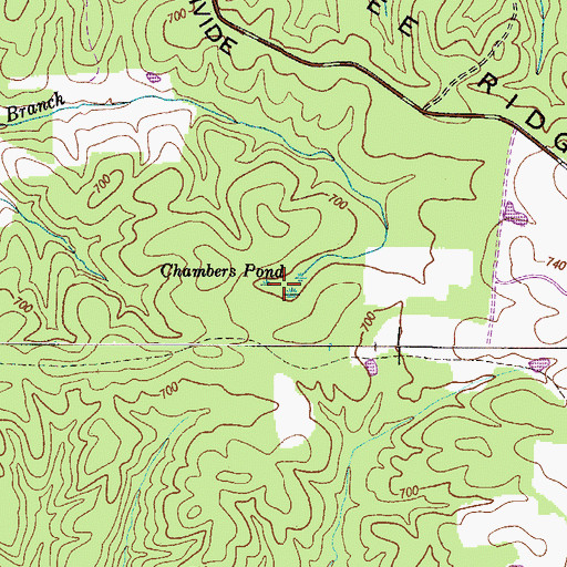 Topographic Map of Chambers Pond, TN