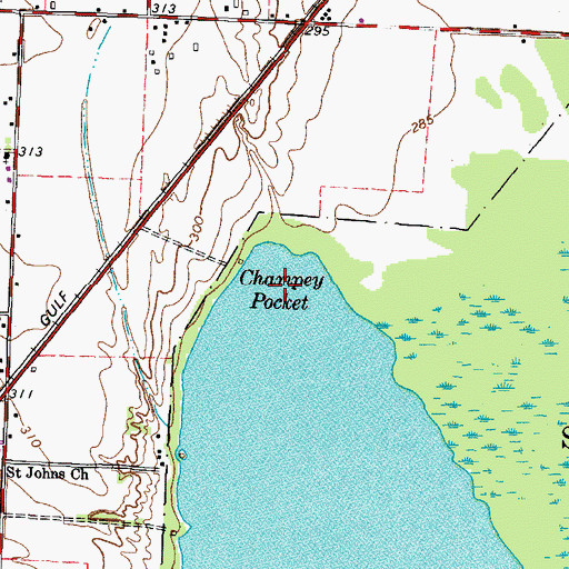 Topographic Map of Champey Pocket, TN