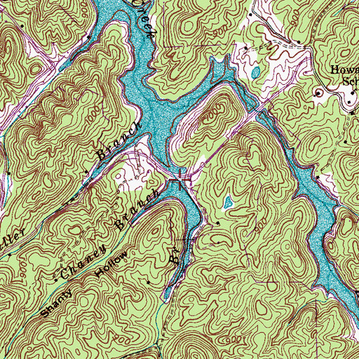 Topographic Map of Chaney Branch, TN