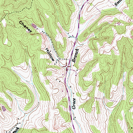 Topographic Map of Chaney Hollow, TN