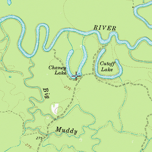 Topographic Map of Chaney Lake, TN