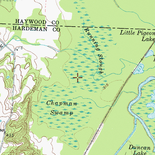 Topographic Map of Chapman Swamp, TN