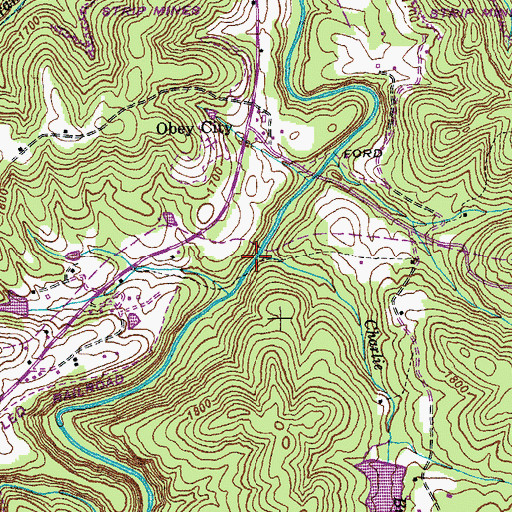 Topographic Map of Charlie Branch, TN
