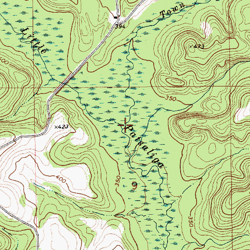 Topographic Map of Town Creek, AL