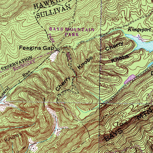 Topographic Map of Cherry Knobs, TN