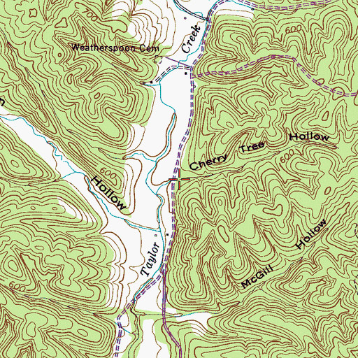Topographic Map of Cherry Tree Hollow, TN