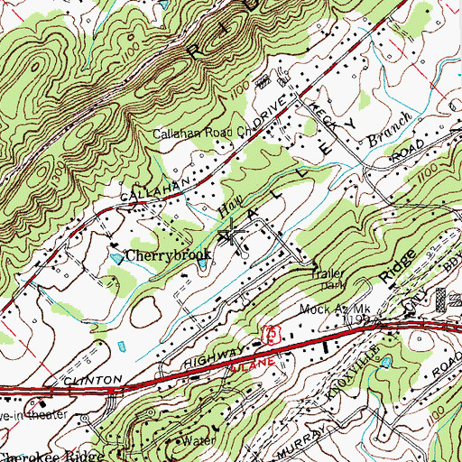 Topographic Map of Cherrybrook, TN