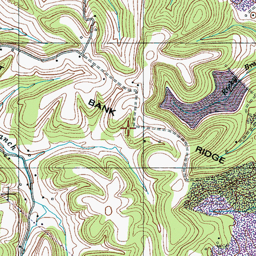 Topographic Map of Chert Bank Ridge, TN