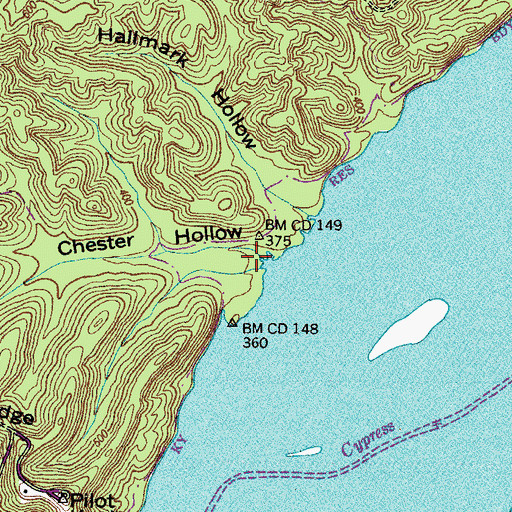 Topographic Map of Chester Hollow, TN