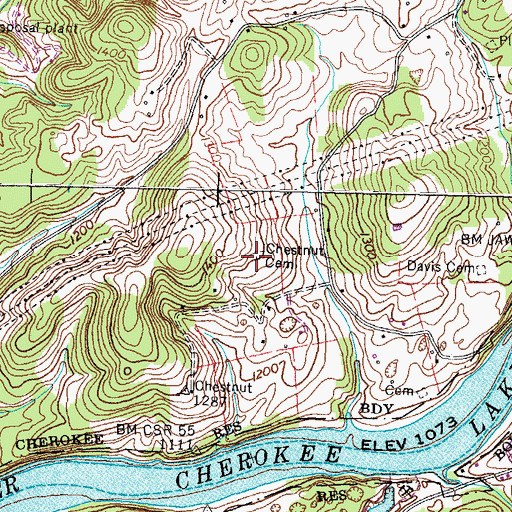Topographic Map of Chestnut Cemetery, TN
