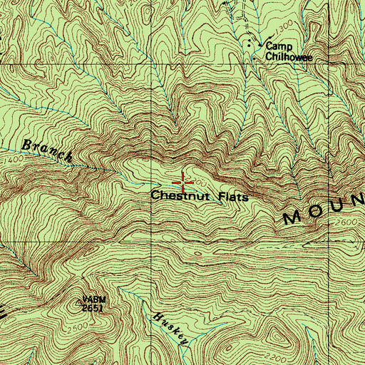 Topographic Map of Chestnut Flats, TN
