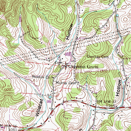 Topographic Map of Chestnut Grove, TN