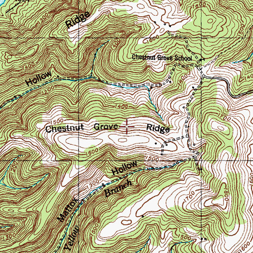Topographic Map of Chestnut Grove Ridge, TN