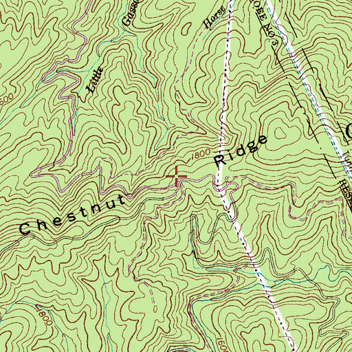 Topographic Map of Chestnut Ridge, TN