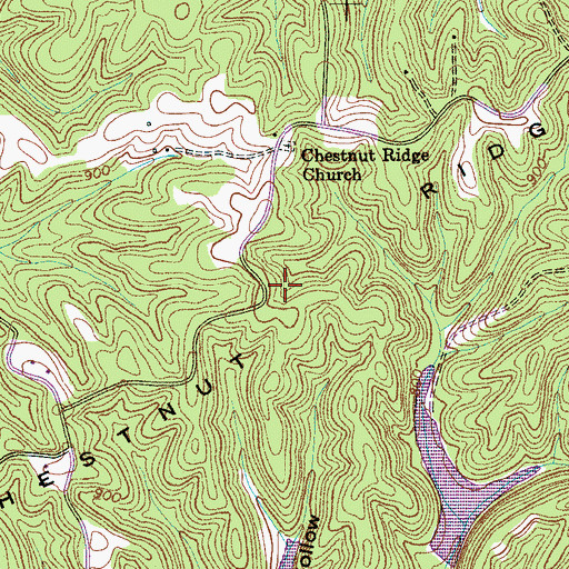 Topographic Map of Chestnut Ridge, TN