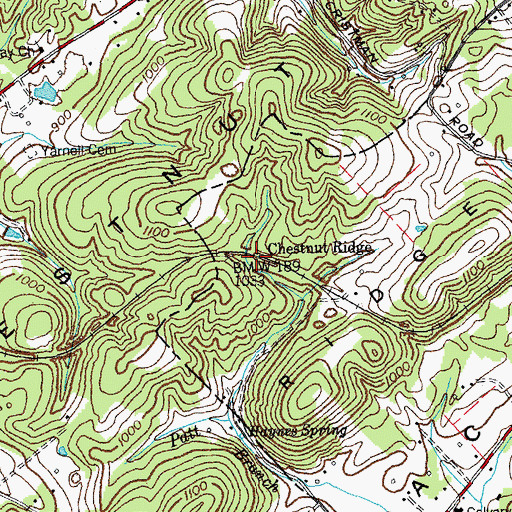 Topographic Map of Chestnut Ridge, TN