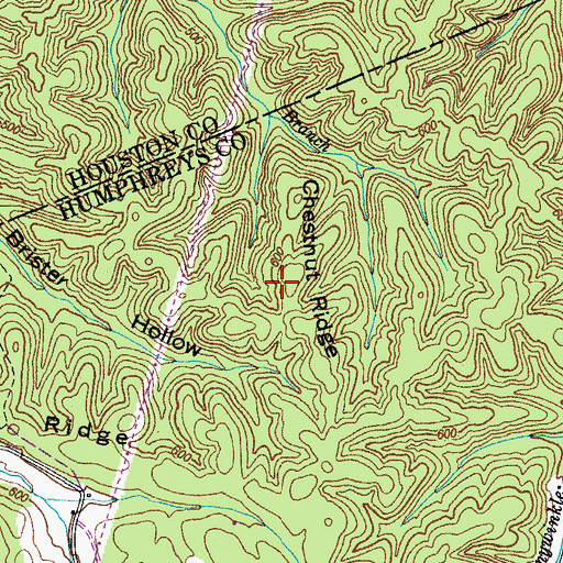 Topographic Map of Chestnut Ridge, TN